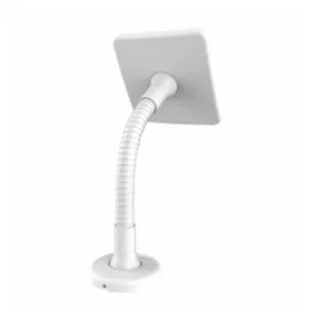 Tahvelarvuti Compulocks 159W 12" Valge