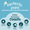 Vihellyspilli Coachi Sininen