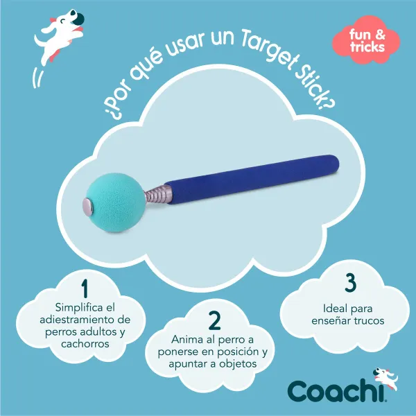 Training toy Coachi Stick Mėlyna