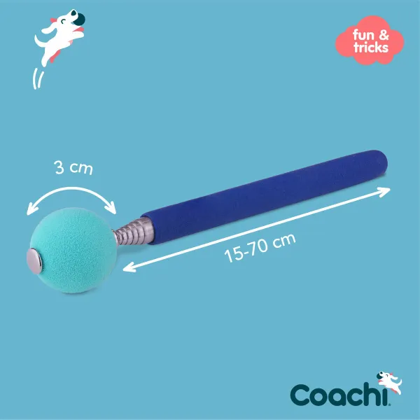 Training toy Coachi Stick Mėlyna