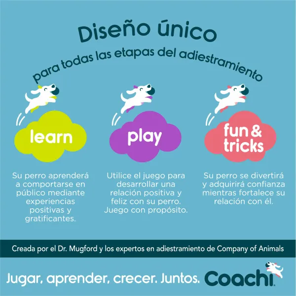 Training toy Coachi Stick Mėlyna
