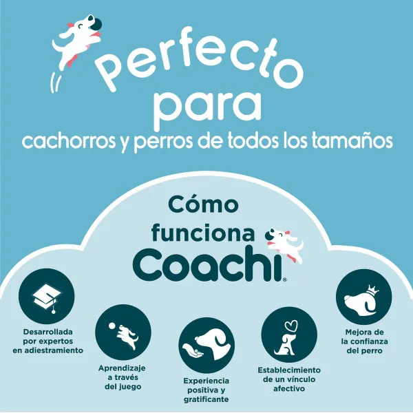 Training toy Coachi Stick Mėlyna