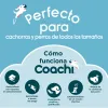 Training toy Coachi Stick Zils
