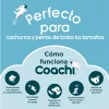 Training toy Coachi Sininen