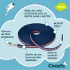 Treeningrihm Coachi Sinine 10m Treening