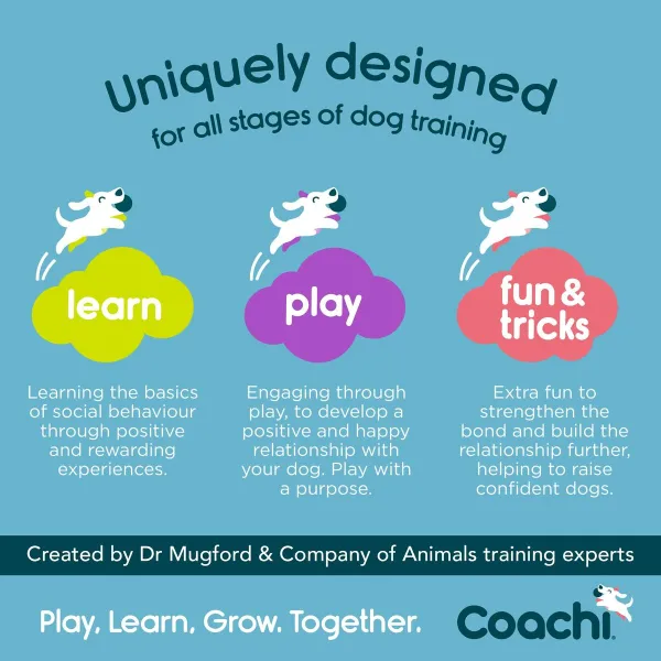 Training toy Coachi TRAINING DUMMY Zils