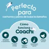 Training toy Coachi TUGGI TUG Sinine