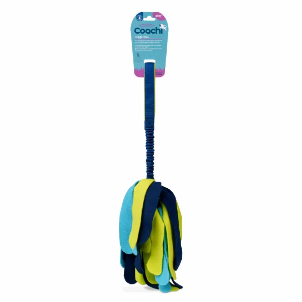 Training toy Coachi TUGGI SPIDER Sinine