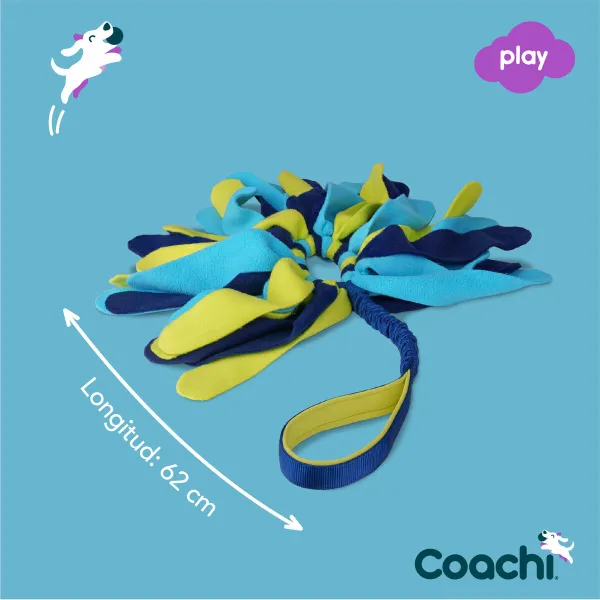 Training toy Coachi TUGGI SPIDER Sinine