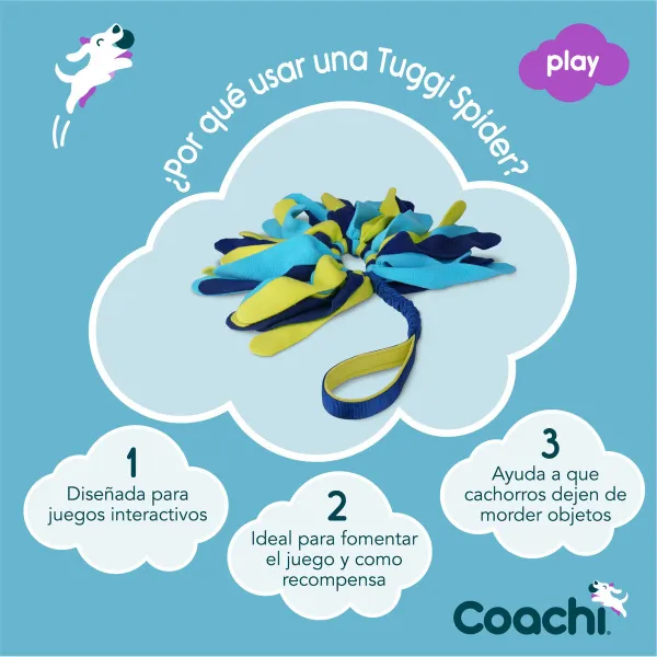Training toy Coachi TUGGI SPIDER Zils