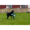 Training toy Coachi TUGGI SPIDER Zils