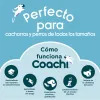 Training toy Coachi TUGGI SPIDER Sinine