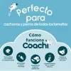 Training toy Coachi TUGGI HIDE Blue