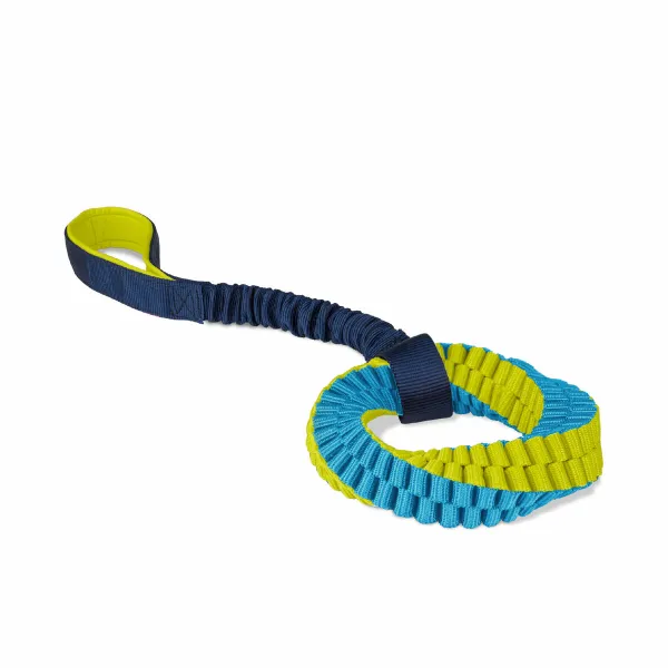 Training toy Coachi TUGGI HELIX Sinine