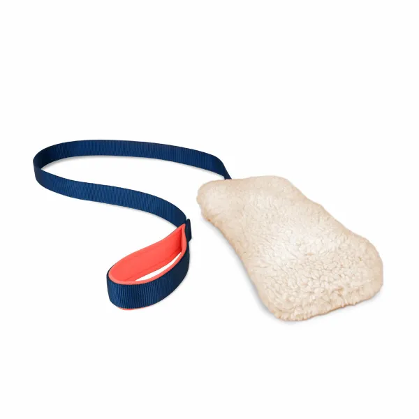 Training toy Coachi CHASE & CRINKLE Zils