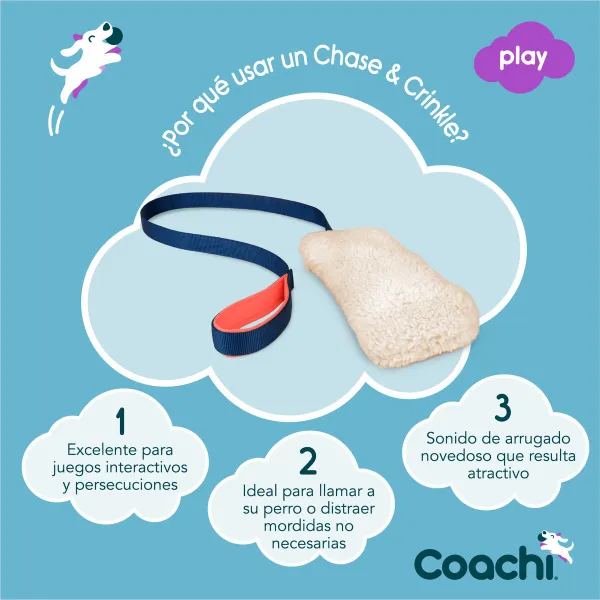 Training toy Coachi CHASE & CRINKLE Zils