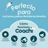 Training toy Coachi CHASE & CRINKLE Blue