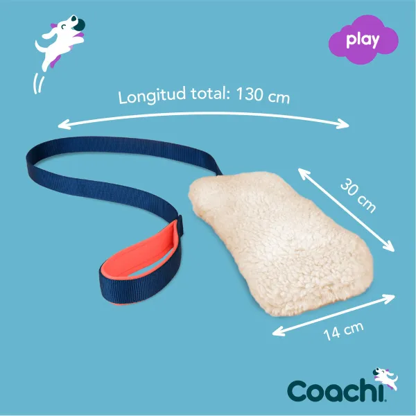 Training toy Coachi CHASE & CRINKLE Zils