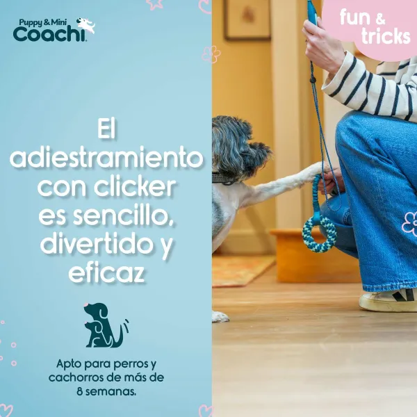 Упряжь для собак Coachi