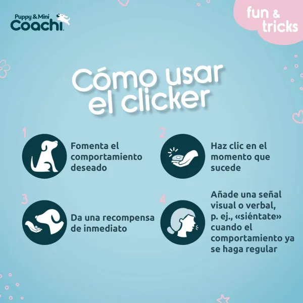 Koera rakmed Coachi