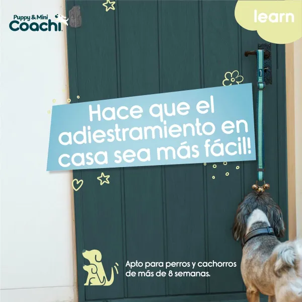Упряжь для собак Coachi