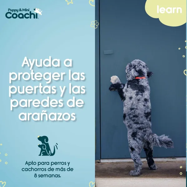 Dog Harness Coachi