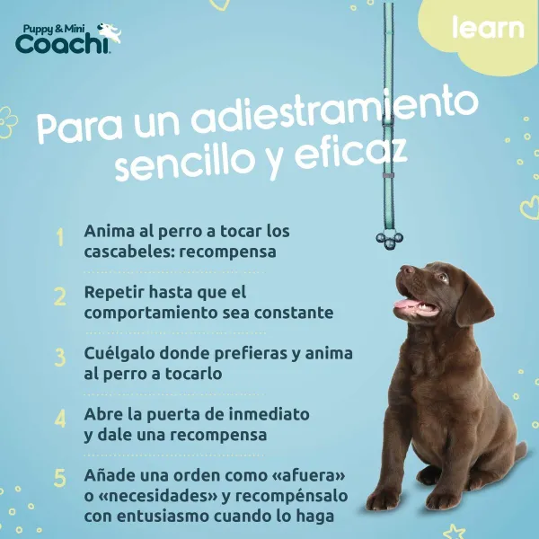 Упряжь для собак Coachi