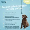 Koera rakmed Coachi