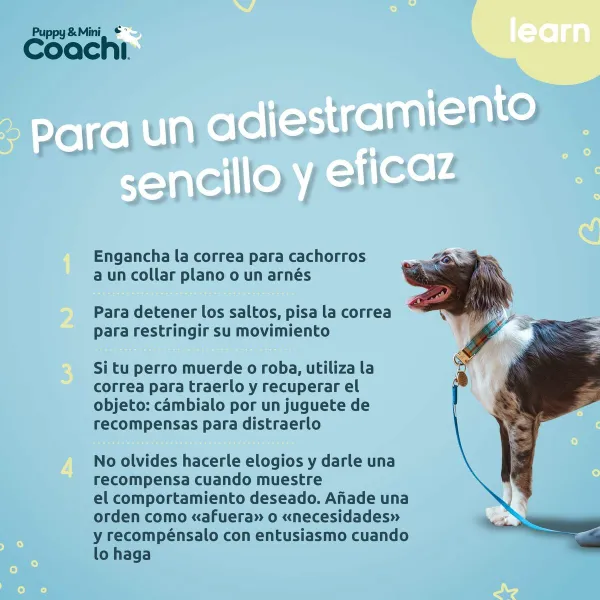 Training lead Coachi Puppy & Mini Green 2,5 m