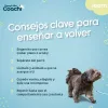 Training lead Coachi Puppy & Mini Green 5 m