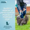 Koera rakmed Coachi