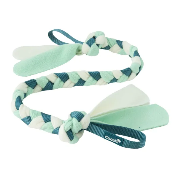 Dog Harness Coachi