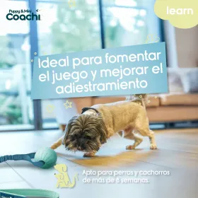 Упряжь для собак Coachi