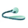 Dog Harness Coachi