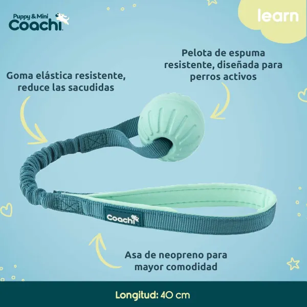 Koera rakmed Coachi