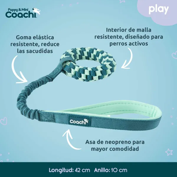Koera rakmed Coachi