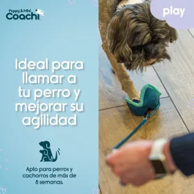 Упряжь для собак Coachi