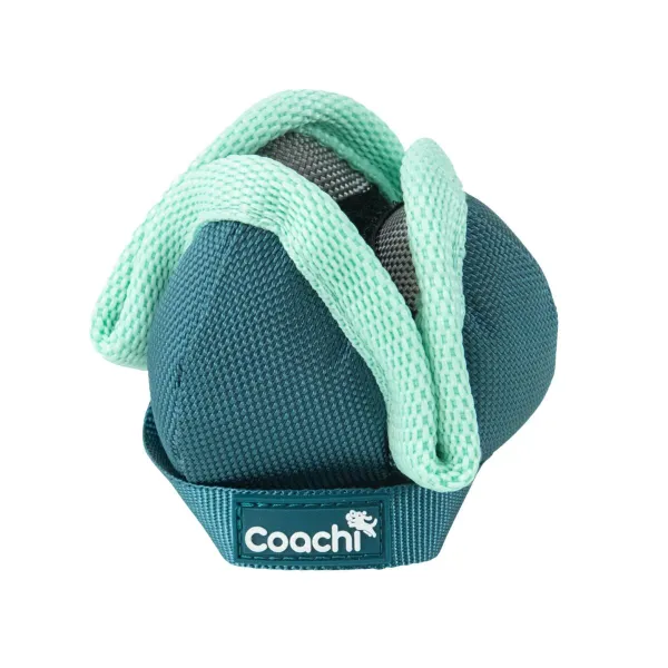 Suņu drošības siksna Coachi