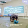 Suņu drošības siksna Coachi