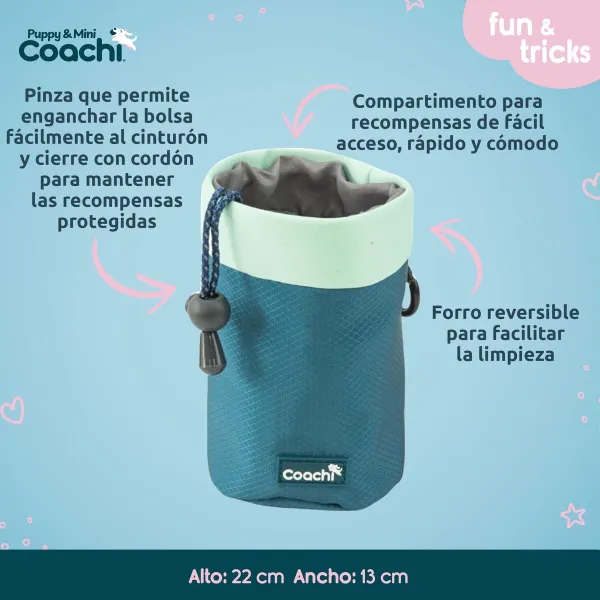 Suņu drošības siksna Coachi