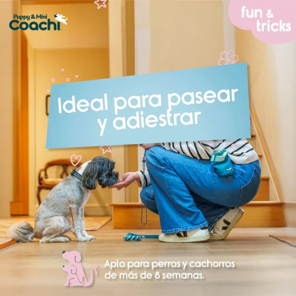 Упряжь для собак Coachi