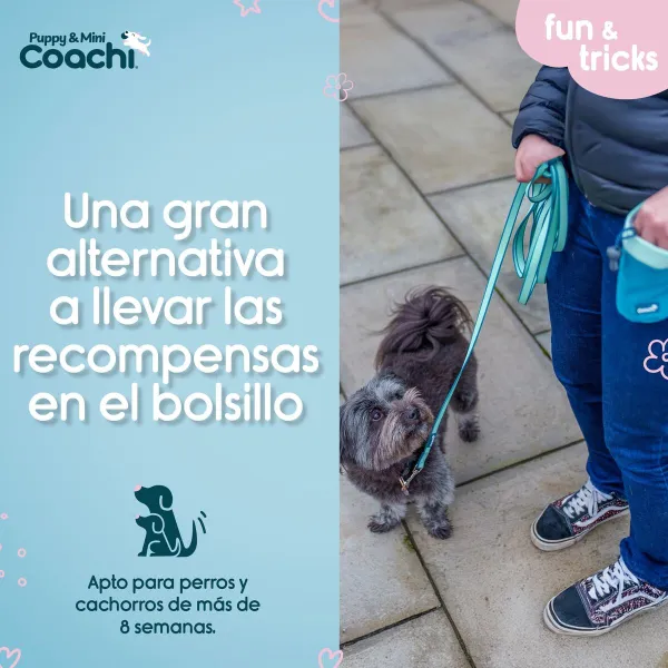 Упряжь для собак Coachi