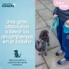 Šuns pakinktai Coachi