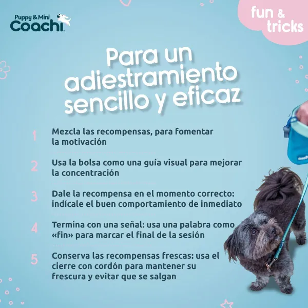 Suņu drošības siksna Coachi