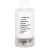 CL0181 100 LED LAMPS