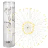 CL0181 100 LED-VALOT