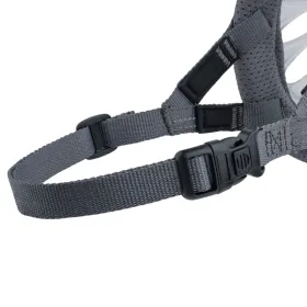 Muzzle Company of Animals Transparent 6