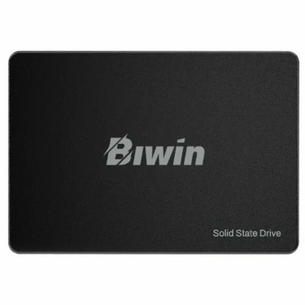 Hard Drive Biwin M100 256 GB SSD