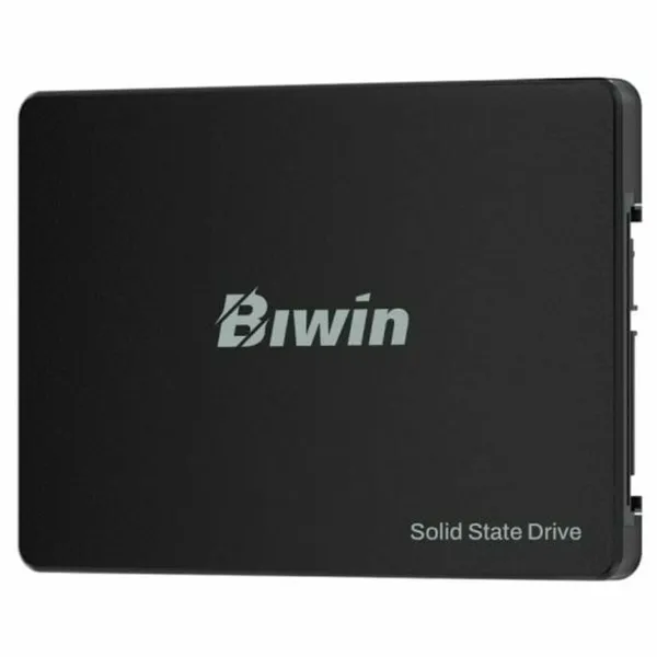 Hard Drive Biwin M100 256 GB SSD