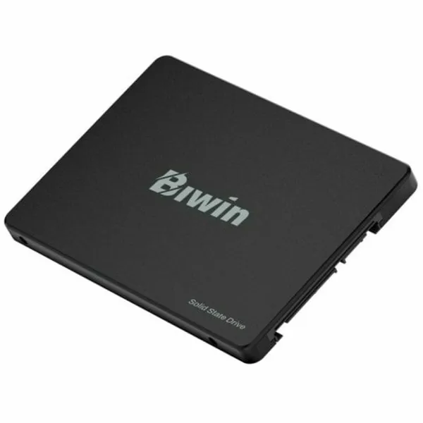 Kõvaketas Biwin M100 256 GB SSD